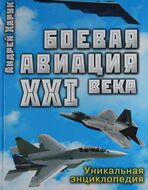 Боевая авиация XXI века