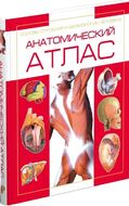 Анатомический атлас. Основы строения и физиологии
