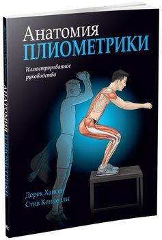 Анатомия плиометрики