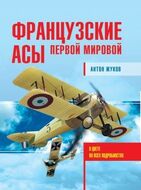 Французские асы Первой мировой