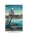 Хризантеми. Шедеври японської поезії та живопису. Том ІІІ (XVII–XIX ст.)